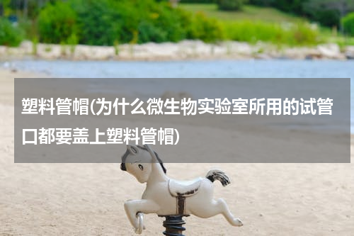 塑料管帽(为什么微生物实验室所用的试管口都要盖上塑料管帽)