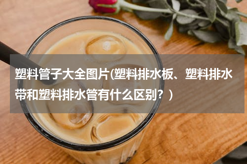 塑料管子大全图片(塑料排水板、塑料排水带和塑料排水管有什么区别？)