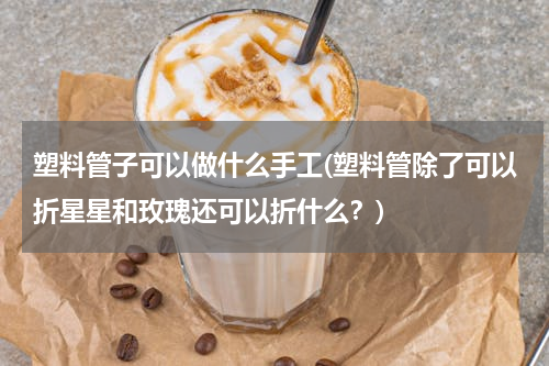 塑料管子可以做什么手工(塑料管除了可以折星星和玫瑰还可以折什么？)