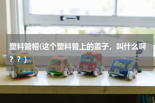 塑料管帽(这个塑料管上的盖子，叫什么啊？？)