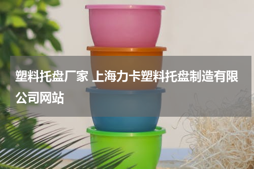 塑料托盘厂家 上海力卡塑料托盘制造有限公司网站
