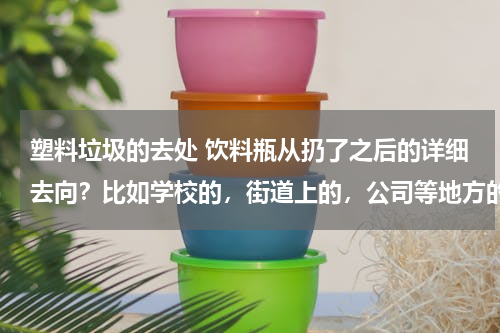 塑料垃圾的去处 饮料瓶从扔了之后的详细去向？比如学校的，街道上的，公司等地方的饮料瓶详细去向