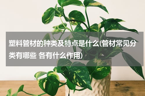 塑料管材的种类及特点是什么(管材常见分类有哪些 各有什么作用)