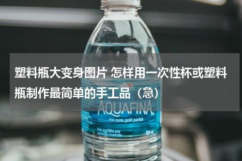 塑料瓶大变身图片 怎样用一次性杯或塑料瓶制作最简单的手工品（急）