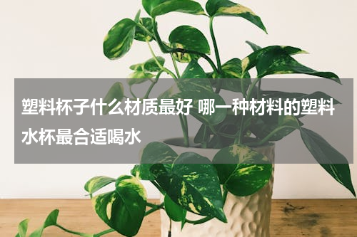 塑料杯子什么材质最好 哪一种材料的塑料水杯最合适喝水