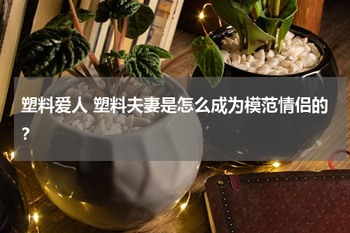塑料爱人 塑料夫妻是怎么成为模范情侣的？
