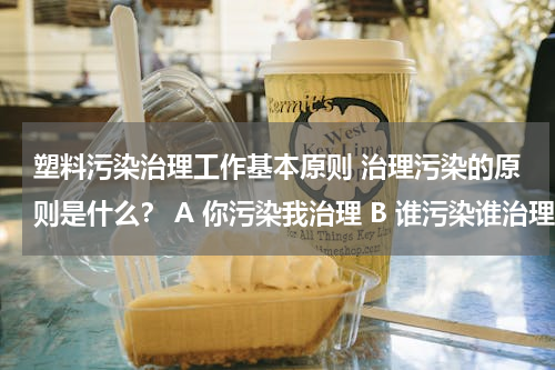 塑料污染治理工作基本原则 治理污染的原则是什么？ A 你污染我治理 B 谁污染谁治理 C 你污染社会治理