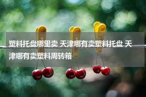 塑料托盘哪里卖 天津哪有卖塑料托盘 天津哪有卖塑料周转箱