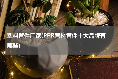 塑料管件厂家(PPR管材管件十大品牌有哪些)