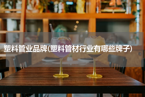 塑料管业品牌(塑料管材行业有哪些牌子)