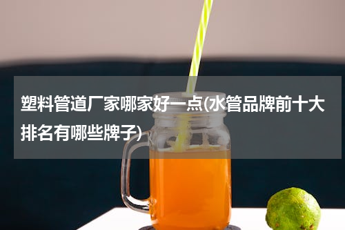 塑料管道厂家哪家好一点(水管品牌前十大排名有哪些牌子)