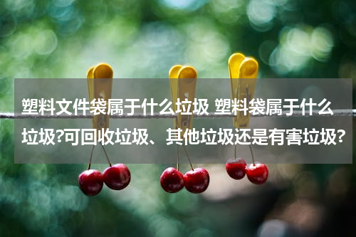 塑料文件袋属于什么垃圾 塑料袋属于什么垃圾?可回收垃圾、其他垃圾还是有害垃圾?