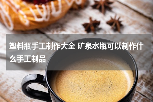 塑料瓶手工制作大全 矿泉水瓶可以制作什么手工制品