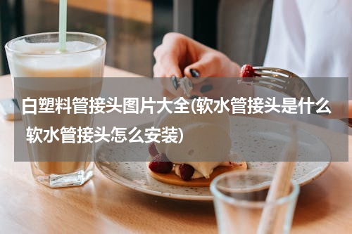 白塑料管接头图片大全(软水管接头是什么 软水管接头怎么安装)