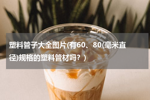 塑料管子大全图片(有60、80(毫米直径)规格的塑料管材吗？)