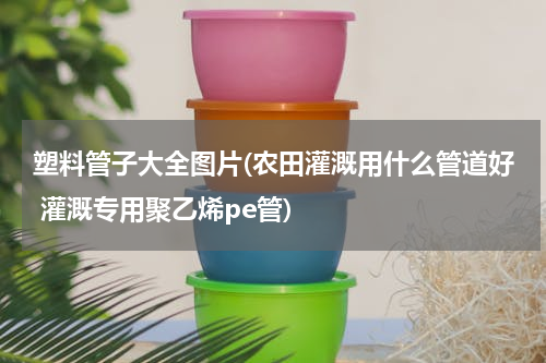 塑料管子大全图片(农田灌溉用什么管道好 灌溉专用聚乙烯pe管)