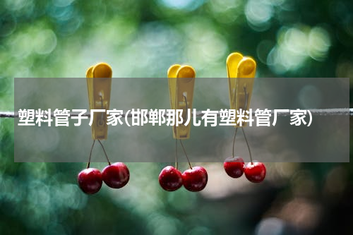 塑料管子厂家(邯郸那儿有塑料管厂家)