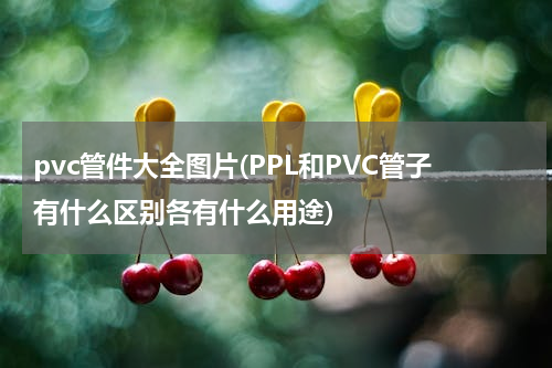 pvc管件大全图片(PPL和PVC管子有什么区别各有什么用途)