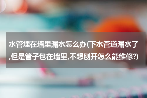 水管埋在墙里漏水怎么办(下水管道漏水了,但是管子包在墙里,不想刨开怎么能维修?)