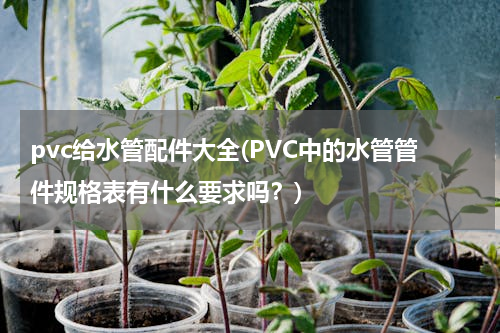pvc给水管配件大全(PVC中的水管管件规格表有什么要求吗？)