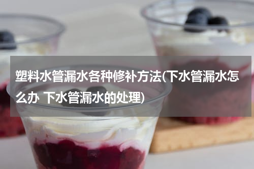 塑料水管漏水各种修补方法(下水管漏水怎么办 下水管漏水的处理)