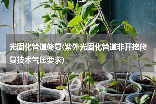 光固化管道修复(紫外光固化管道非开挖修复技术气压要求)