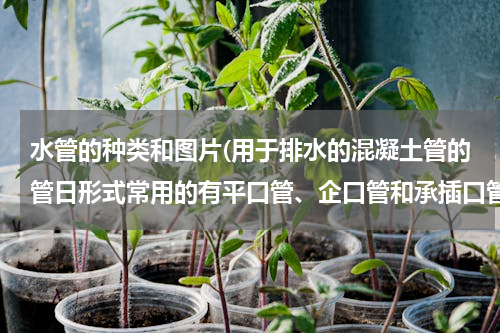 水管的种类和图片(用于排水的混凝土管的管日形式常用的有平口管、企口管和承插口管(图1)