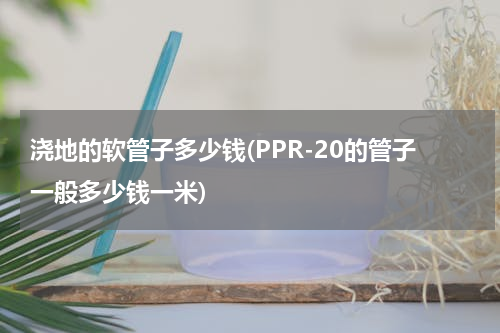 浇地的软管子多少钱(PPR-20的管子一般多少钱一米)