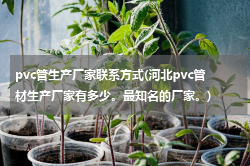 pvc管生产厂家联系方式(河北pvc管材生产厂家有多少。最知名的厂家。)