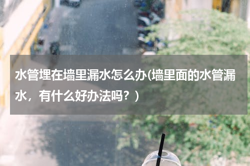 水管埋在墙里漏水怎么办(墙里面的水管漏水，有什么好办法吗？)