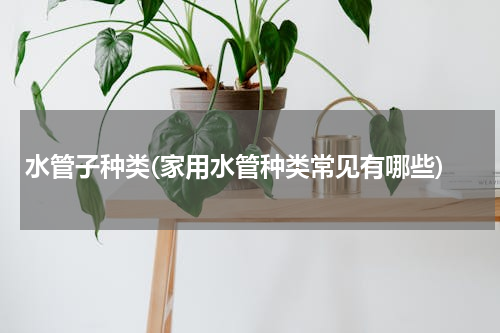 水管子种类(家用水管种类常见有哪些)