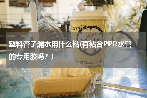 塑料管子漏水用什么粘(有粘合PPR水管的专用胶吗？)