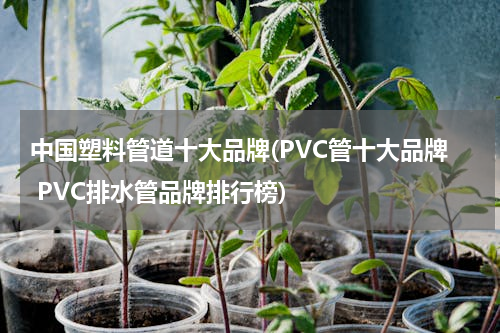 中国塑料管道十大品牌(PVC管十大品牌 PVC排水管品牌排行榜)