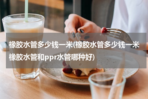 橡胶水管多少钱一米(橡胶水管多少钱一米橡胶水管和ppr水管哪种好)