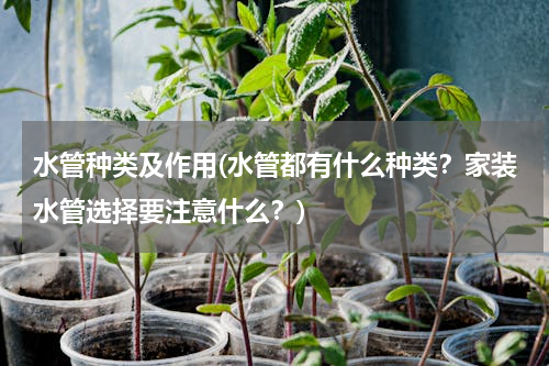 水管种类及作用(水管都有什么种类？家装水管选择要注意什么？)