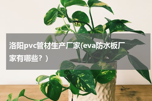 洛阳pvc管材生产厂家(eva防水板厂家有哪些？)