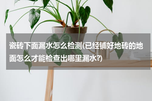 瓷砖下面漏水怎么检测(已经铺好地砖的地面怎么才能检查出哪里漏水?)