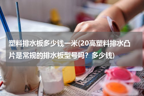 塑料排水板多少钱一米(20高塑料排水凸片是常规的排水板型号吗？多少钱)