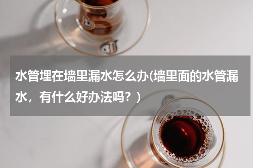 水管埋在墙里漏水怎么办(墙里面的水管漏水，有什么好办法吗？)