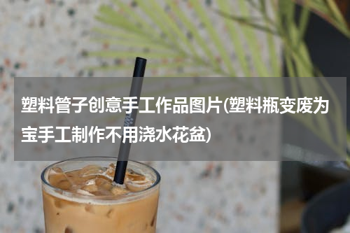 塑料管子创意手工作品图片(塑料瓶变废为宝手工制作不用浇水花盆)
