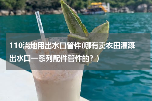 110浇地用出水口管件(哪有卖农田灌溉出水口一系列配件管件的？)