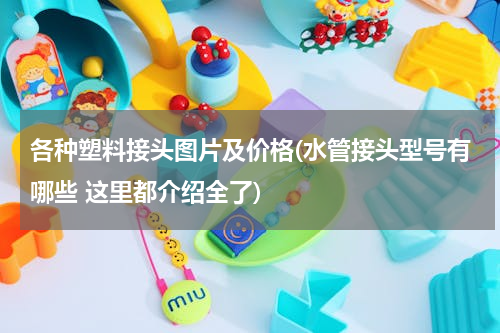 各种塑料接头图片及价格(水管接头型号有哪些 这里都介绍全了)