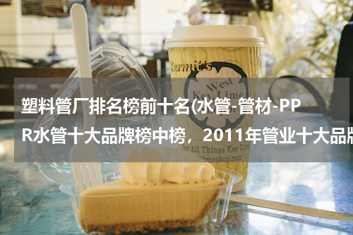 塑料管厂排名榜前十名(水管-管材-PPR水管十大品牌榜中榜，2011年管业十大品牌？)