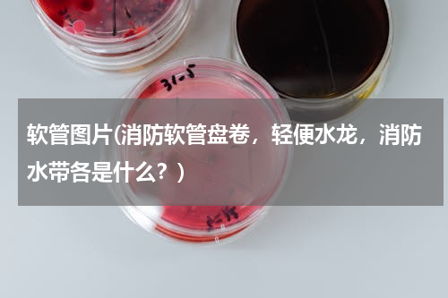 软管图片(消防软管盘卷，轻便水龙，消防水带各是什么？)