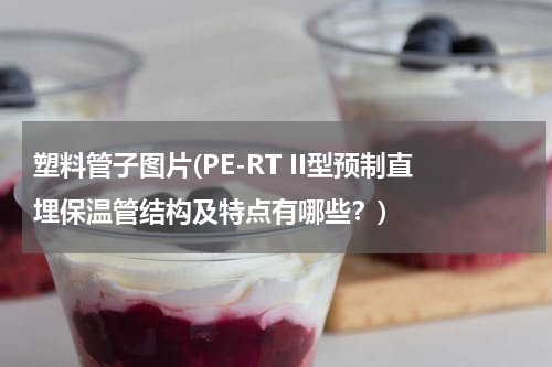 塑料管子图片(PE-RT II型预制直埋保温管结构及特点有哪些？)