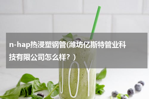 n-hap热浸塑钢管(潍坊亿斯特管业科技有限公司怎么样？)