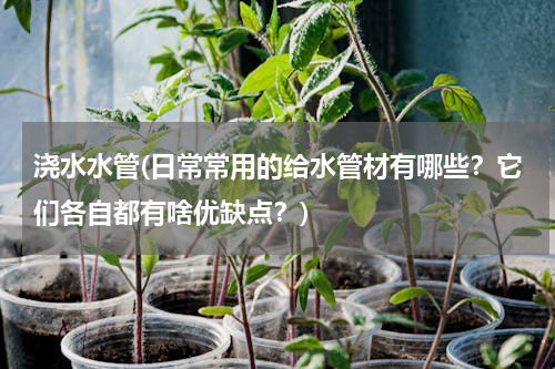 浇水水管(日常常用的给水管材有哪些？它们各自都有啥优缺点？)