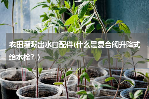农田灌溉出水口配件(什么是复合阀升降式给水栓？)