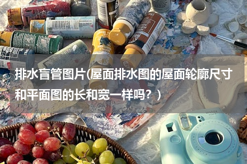 排水盲管图片(屋面排水图的屋面轮廓尺寸和平面图的长和宽一样吗？)