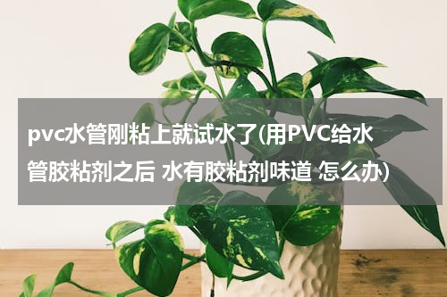 pvc水管刚粘上就试水了(用PVC给水管胶粘剂之后 水有胶粘剂味道 怎么办)